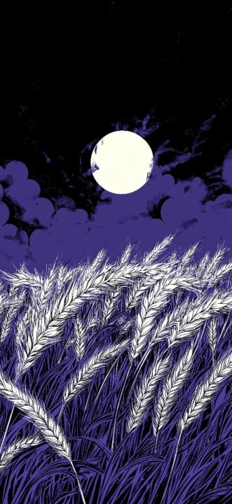 Abdul musawwir Faraidoon