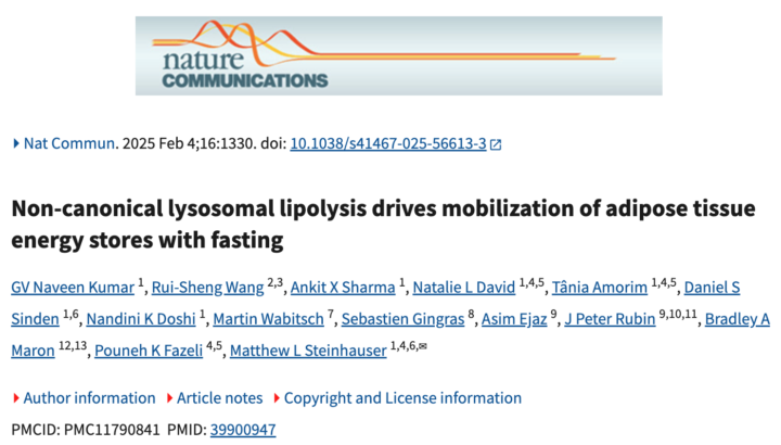 New research paper on fasting, autophagy and advanced fat loss