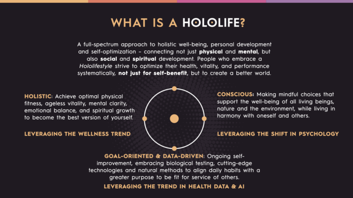 What is Hololife?