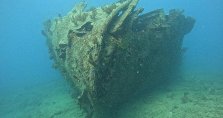 Ocean Odyssea Divers