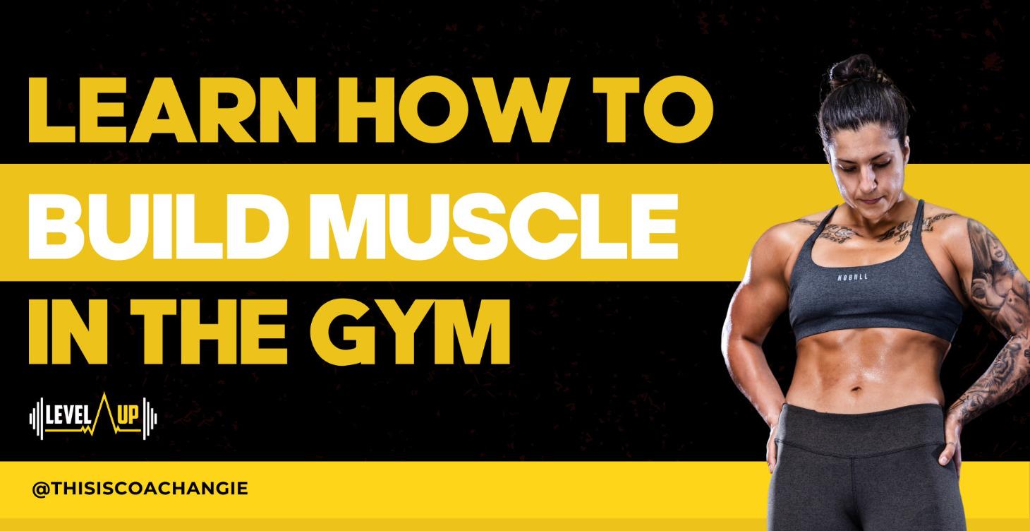 Muscle Building