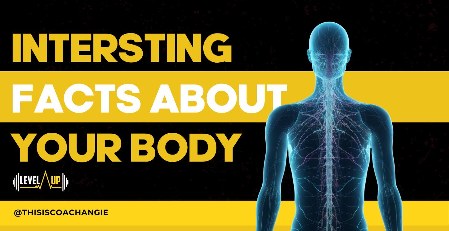 Your Body