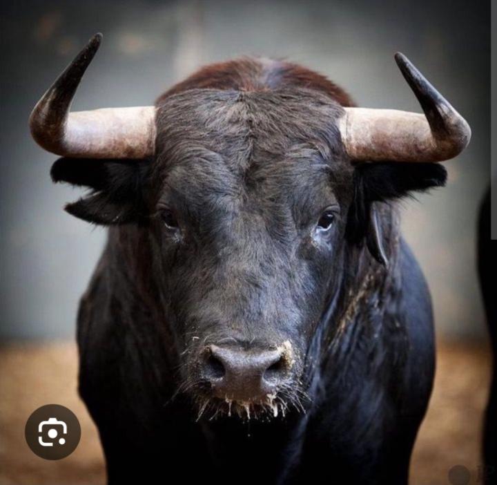 Fabrice Gutierrez Rodriguez