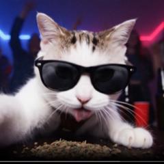 Cameo Kitcat