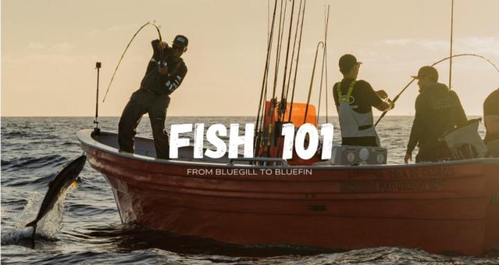 Fish 101