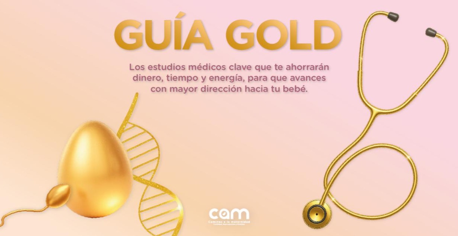 Guía Gold