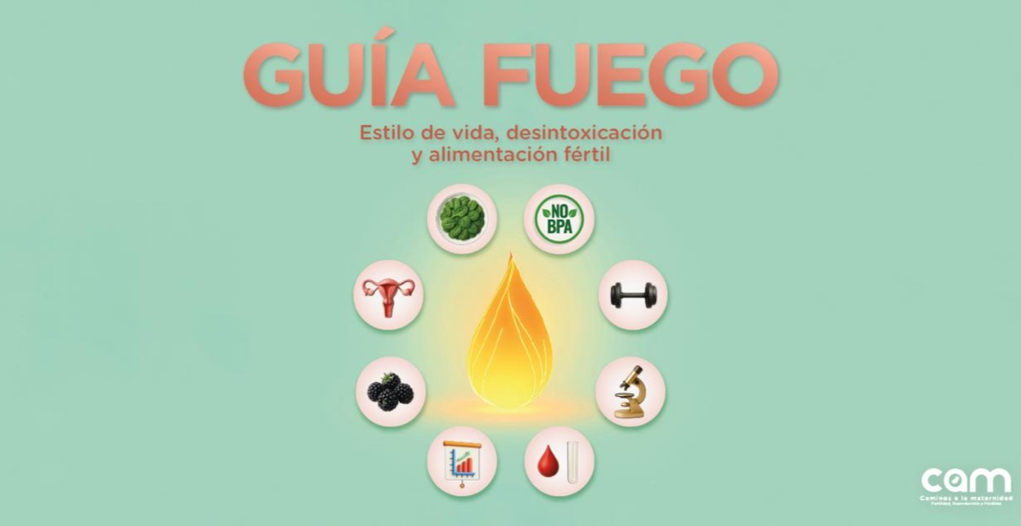 Guía Fuego
