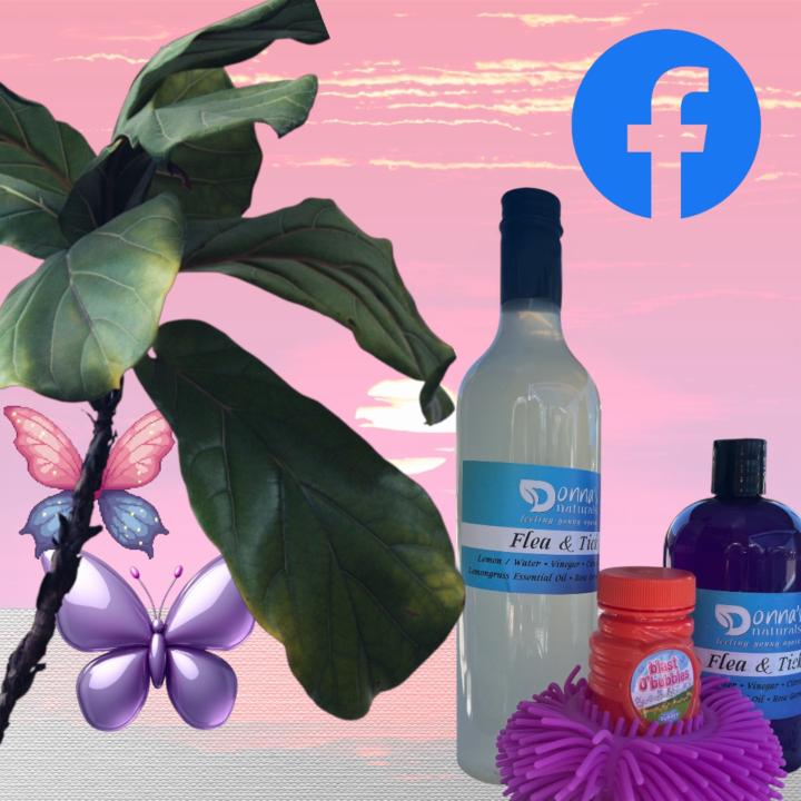 Flea and tick spray 