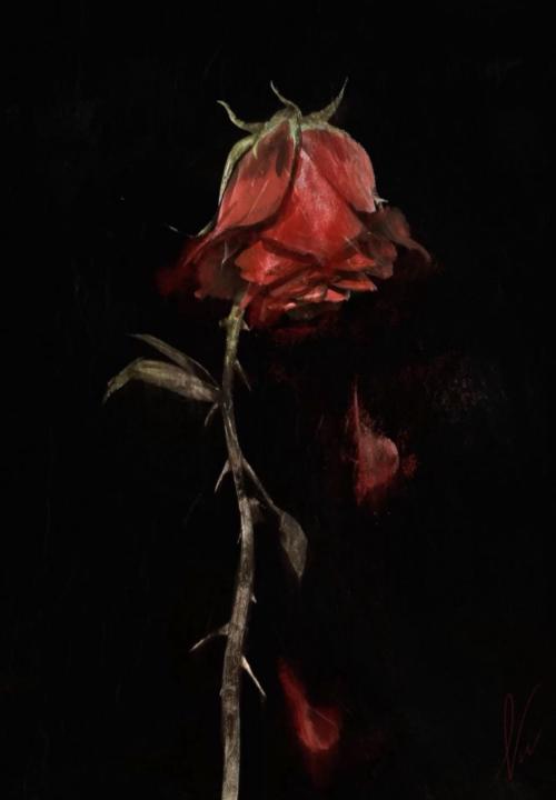 Adam Aly