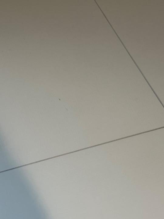 Vanessa Phedor Choudelor