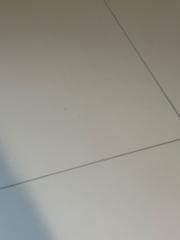 Vanessa Phedor Choudelor