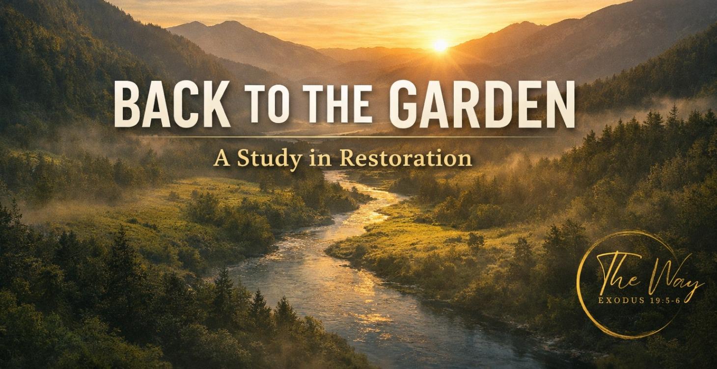 Back to the Garden: A Study in Restoration