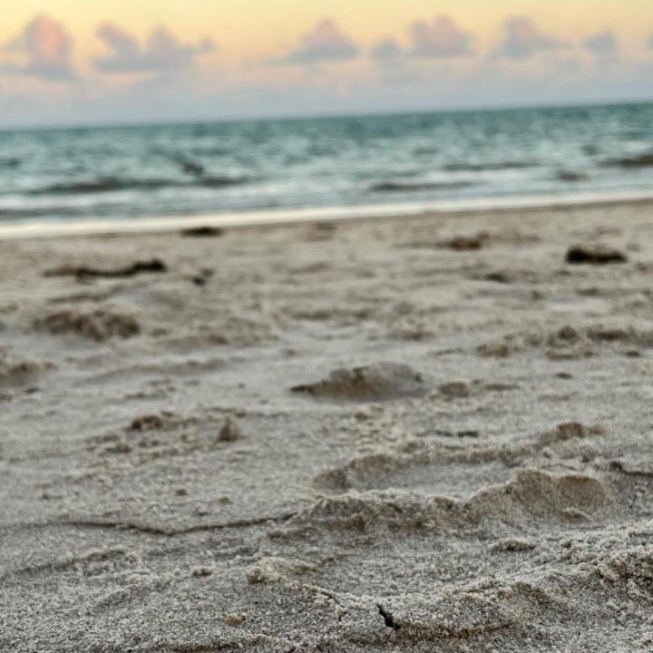 David Da costa silva