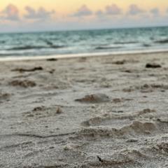 David Da costa silva