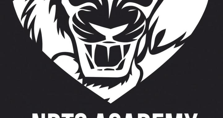 N.D.T.S Academy