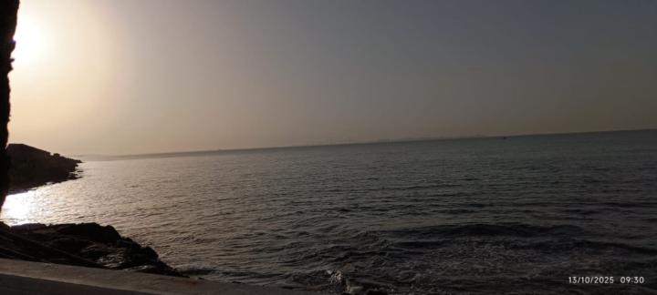 Julio Medrano alonso