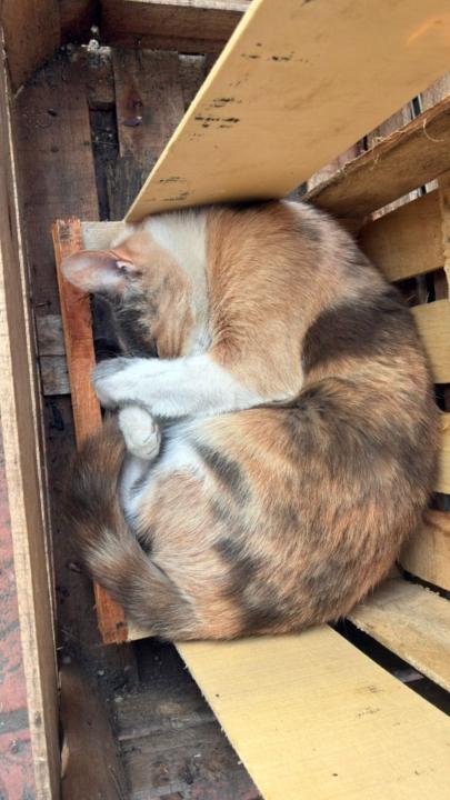 Raquel haydee Jauregui