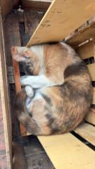 Raquel haydee Jauregui