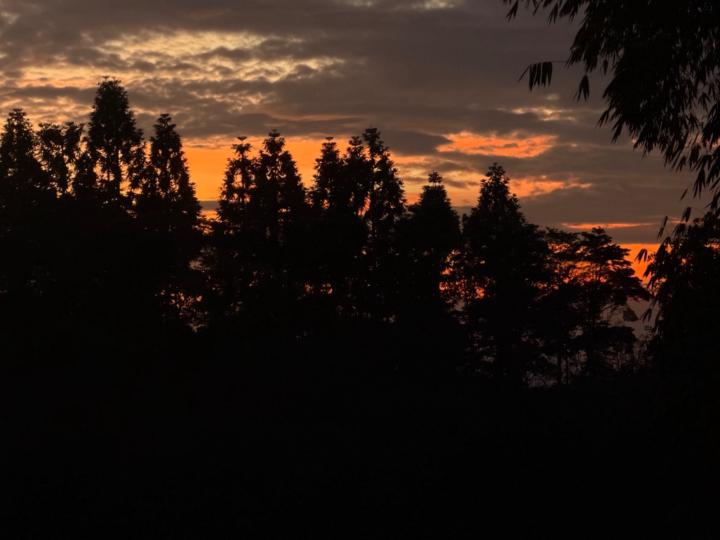 Jose Amador