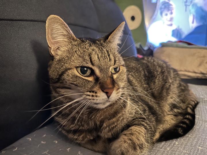 Christina Niemann-Müller