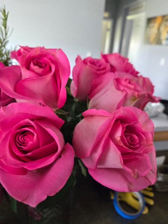 Ruth Del cid Hernandez