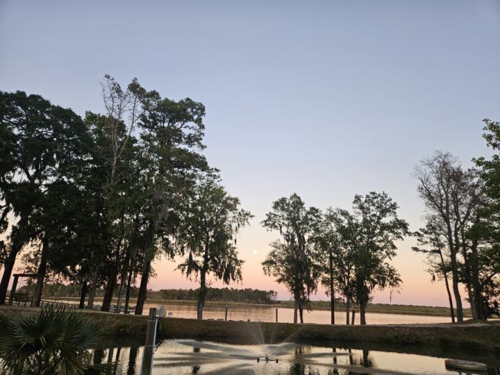 The beauty of the moon! 