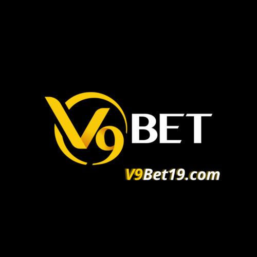 Vbet Com