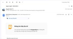 Trí Nguyễn Đình