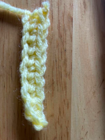 Lesson 2: The Leveling Line (sc practice)