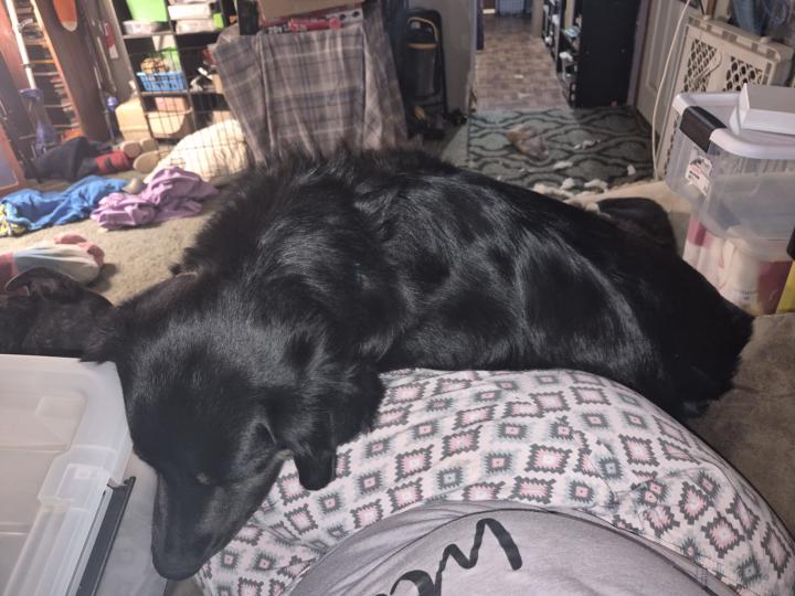 Overbearing supervisor 