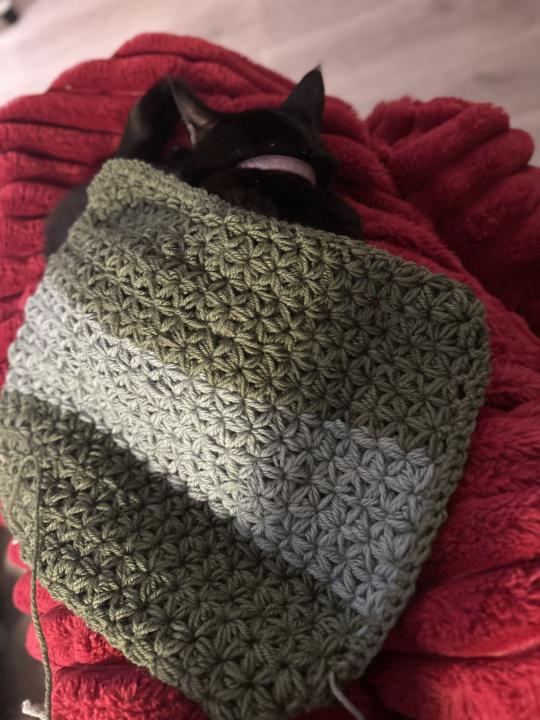 January square done - tested by cat - Shop my shelves 