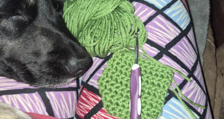 The Mindful Stitch Sanctuary