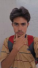 Luis Fernando