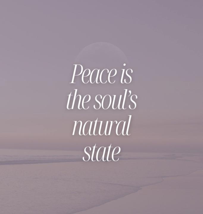 🌸 A gentle update from me