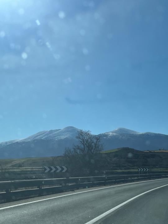 Alba D