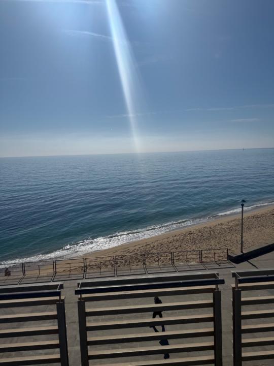 María Ibáñez Moya