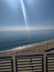 María Ibáñez Moya