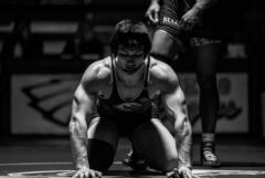 Gavin Comstock