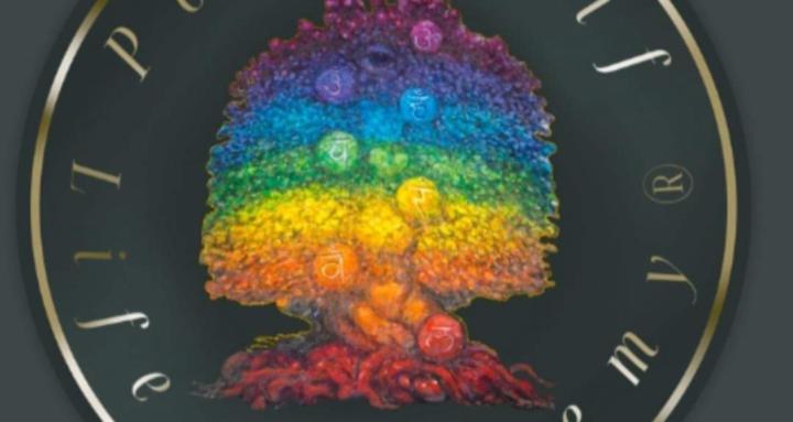 Life Coaching Academy