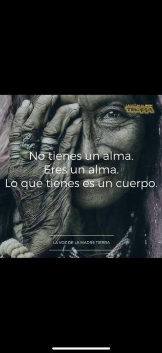 Anne Steiner