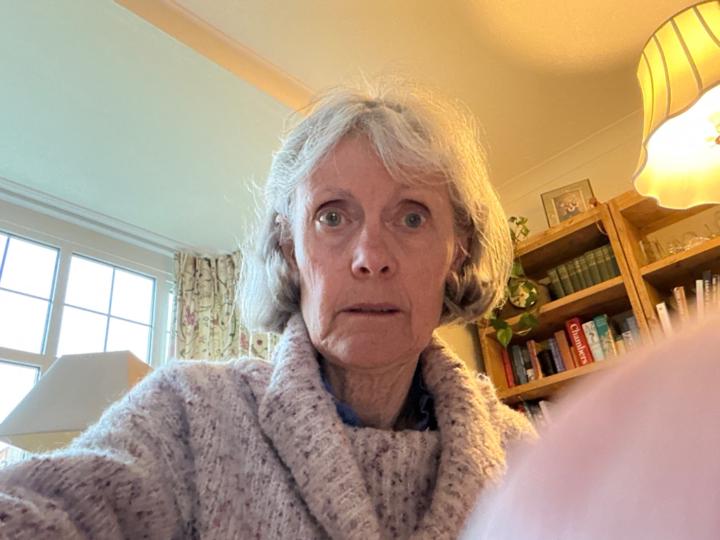 Christine Meixner