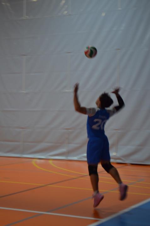 Daniel Segovia del Puerto