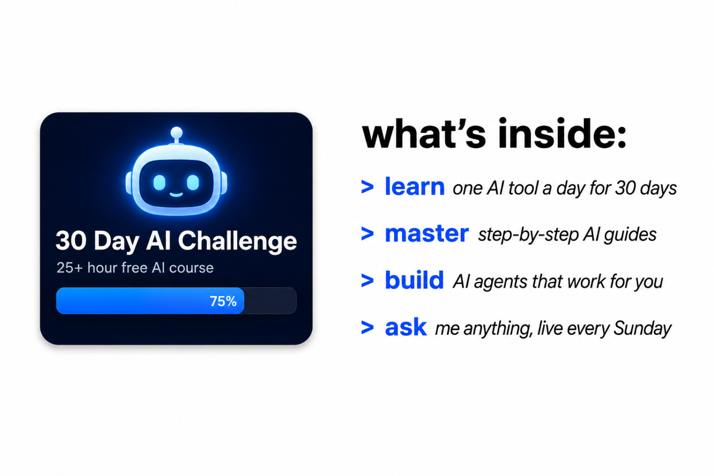 The AI Academy