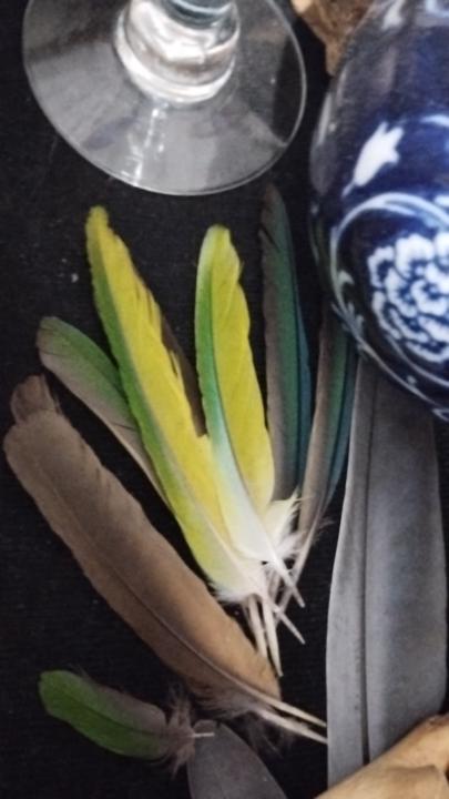 Romina Belén Domínguez Menéndez