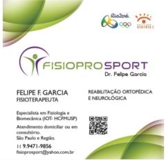 Felipe Ferreira Garcia