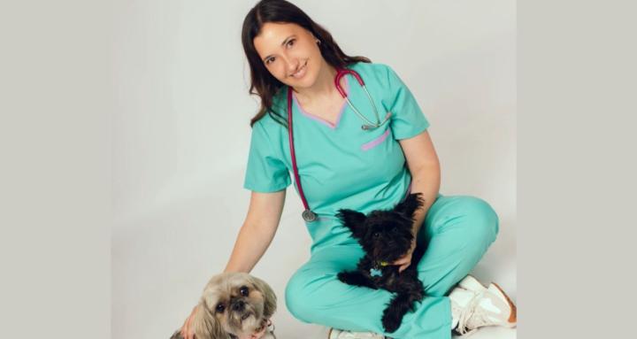 Pet connect 