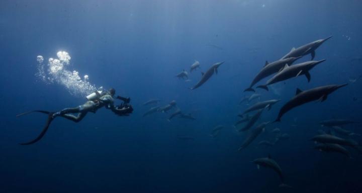 Ocean Footage Mastery