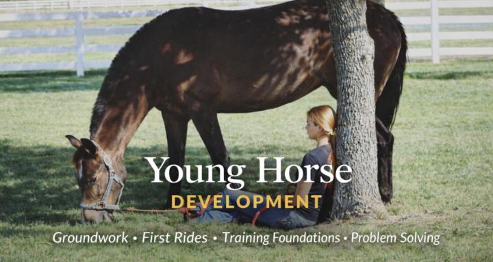 Young Horse Development
