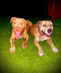 Marco De la fuente cancelo