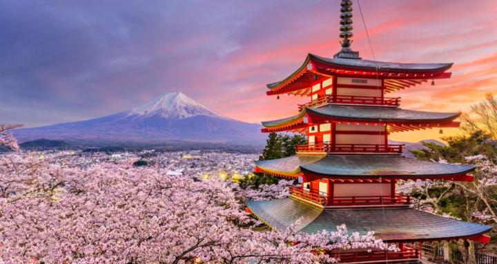 Japanese in Real Life